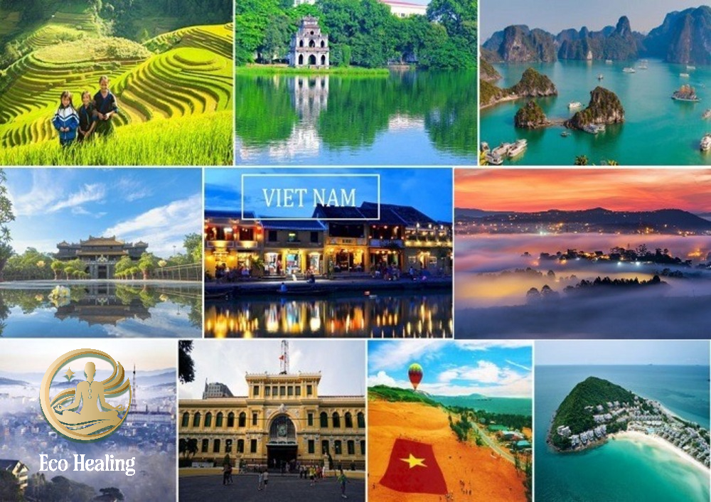 Chinh Phục 5 Địa Điểm Du Lịch Nội Địa Hấp Dẫn