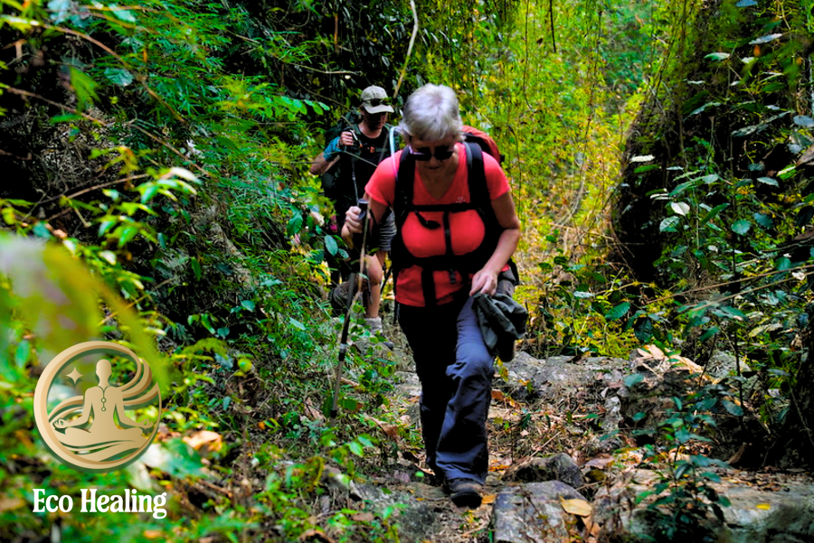 Checklist trekking: Chuẩn bị gì trước khi leo núi để tránh kiệt sức?