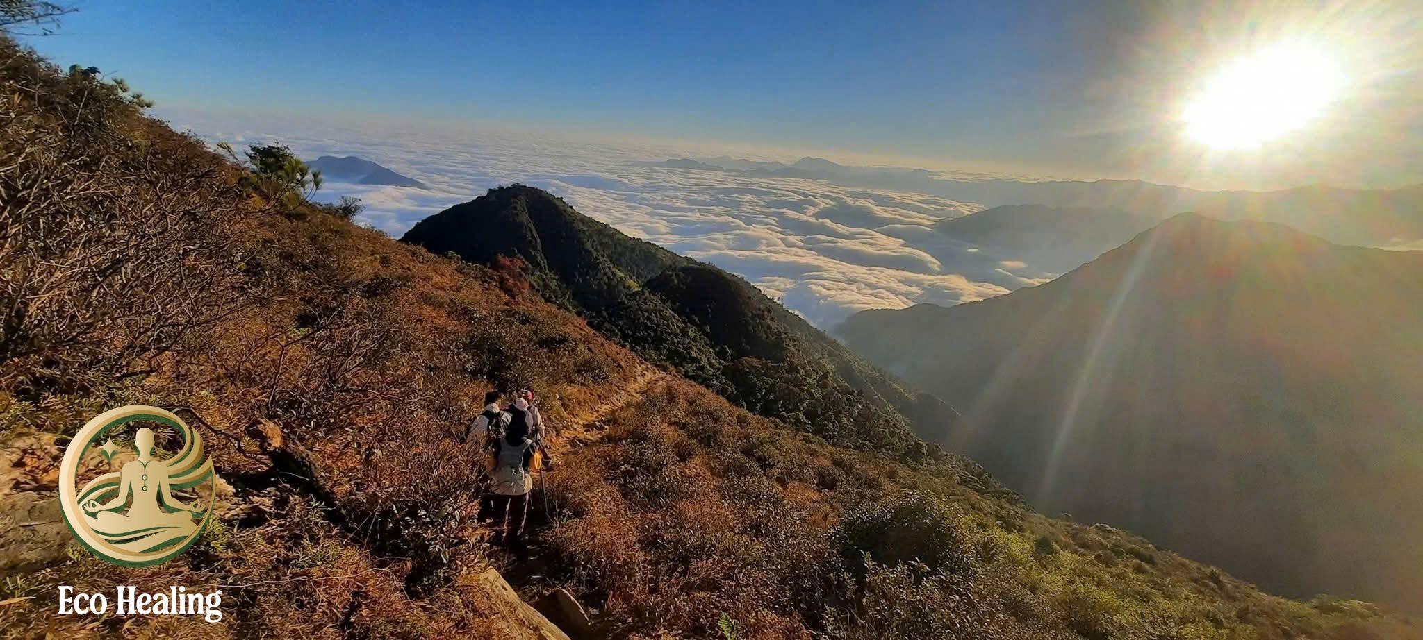 Lịch tour trekking hằng tuần tại Eco Healing