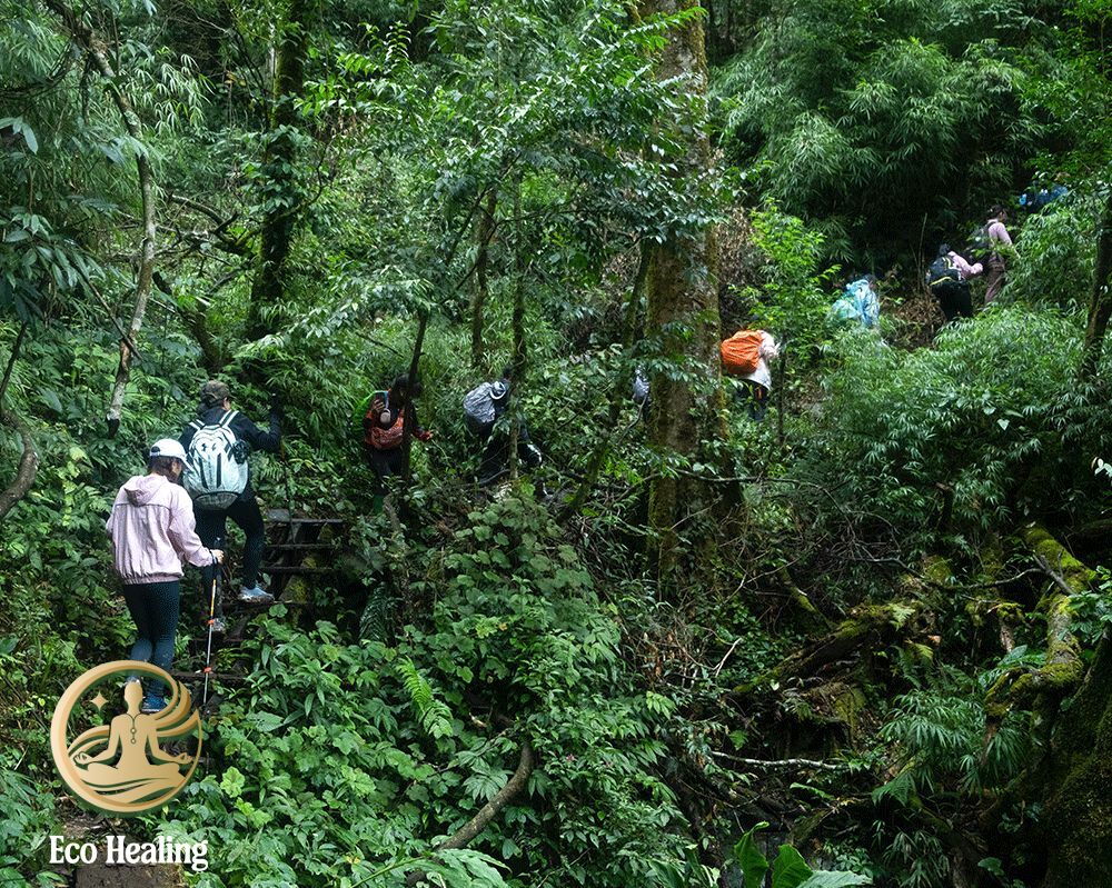 Tour trekking kết hợp workshop chữa lành