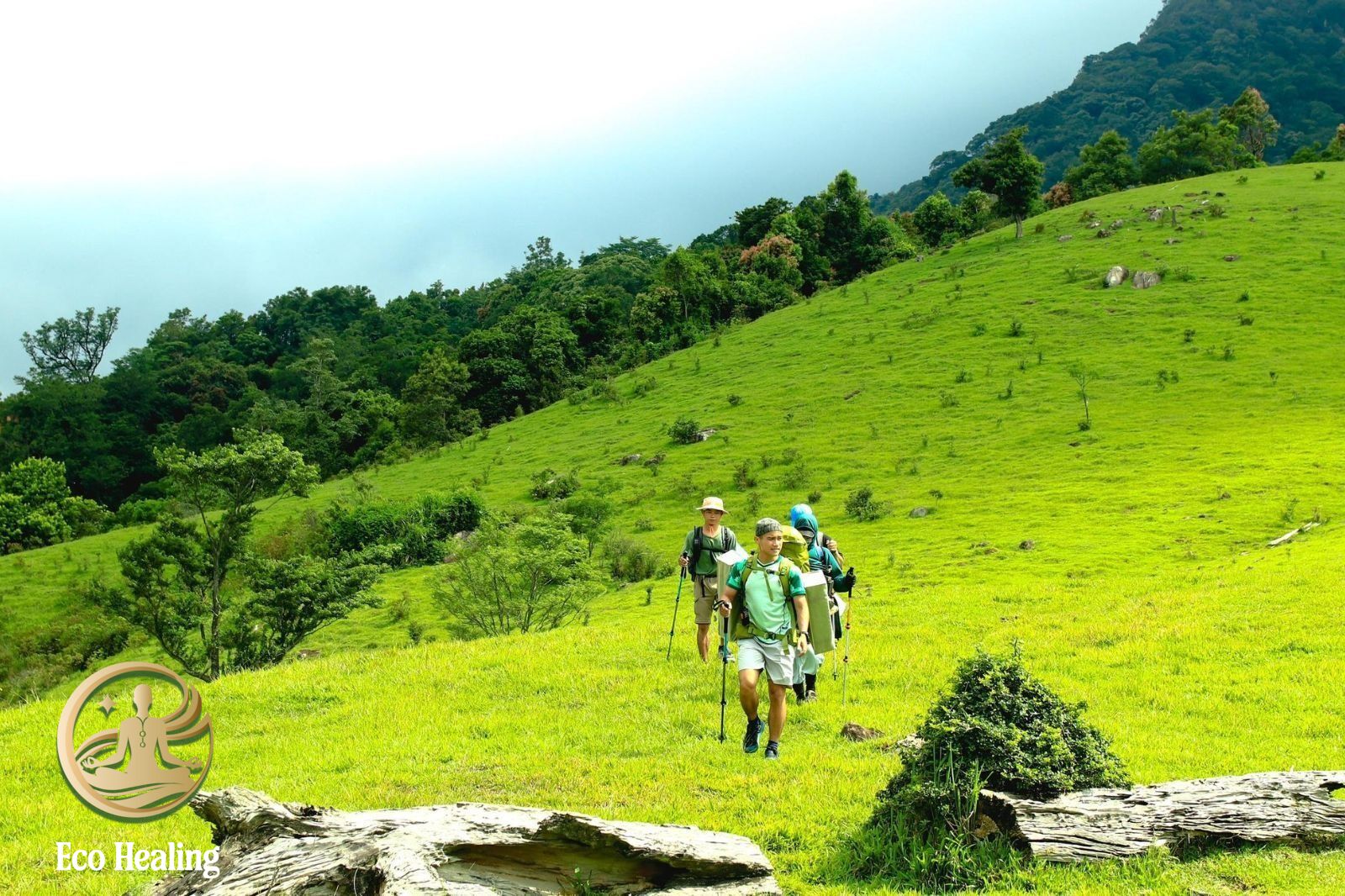 Tour trekking – thiền combo tốt nhất 2025