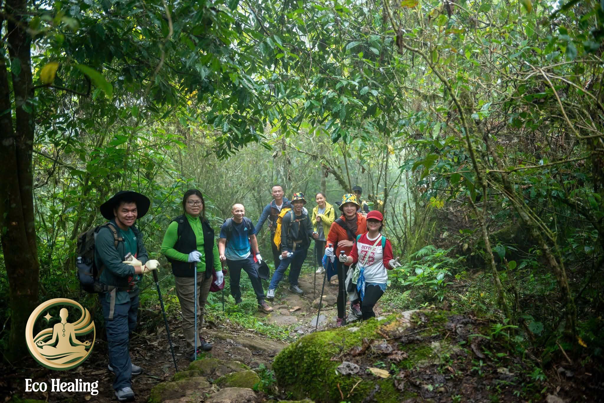 Trải nghiệm tour đi rừng tái tạo năng lượng