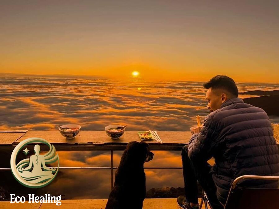 Trekking Tà Xùa: Trọn bộ kinh nghiệm săn mây dành cho người đi lần đầu