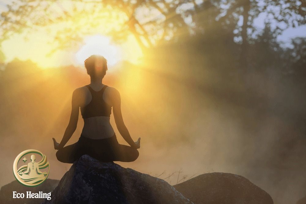 Chữa l&agrave;nh bằng thi&ecirc;n nhi&ecirc;n c&ugrave;ng Eco Healing