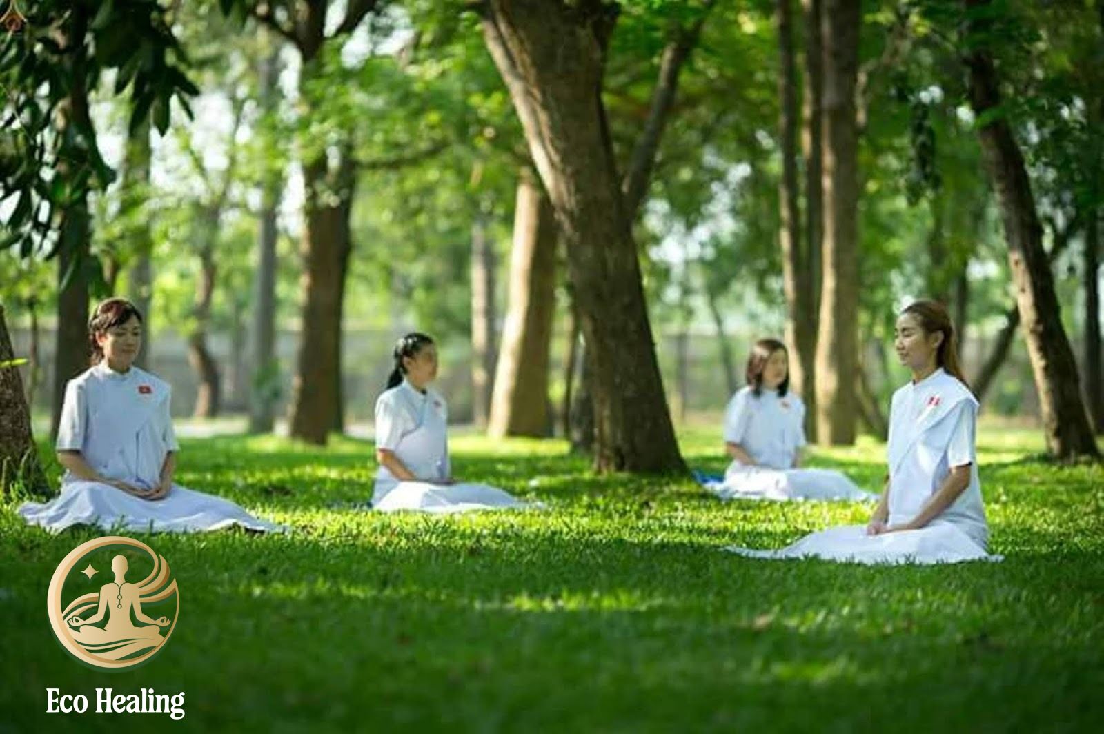 Chữa l&agrave;nh bằng thi&ecirc;n nhi&ecirc;n c&ugrave;ng Eco Healing