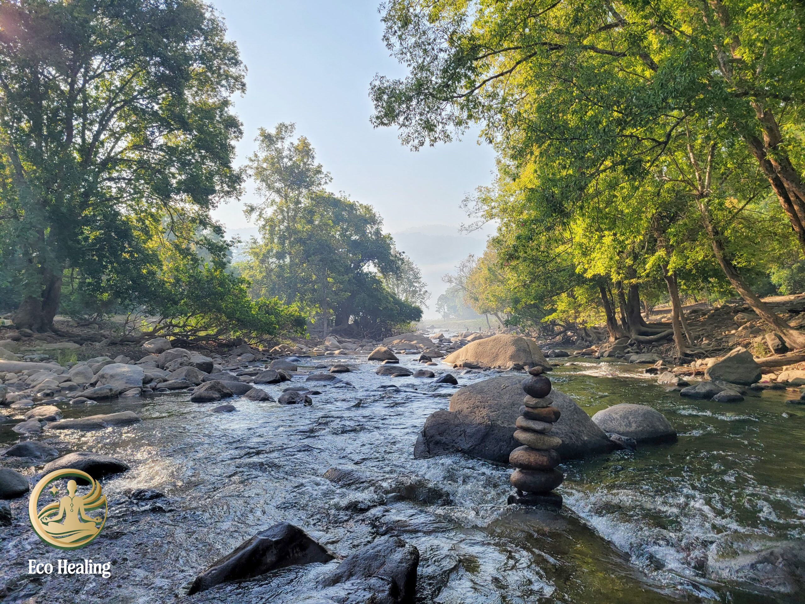 Eco Healing – đơn vị tiên phong tour chữa lành rừng
