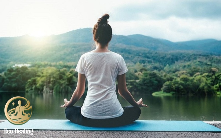 Thiền rừng: Trải nghiệm giúp bạn trở về với hơi thở và chính mình