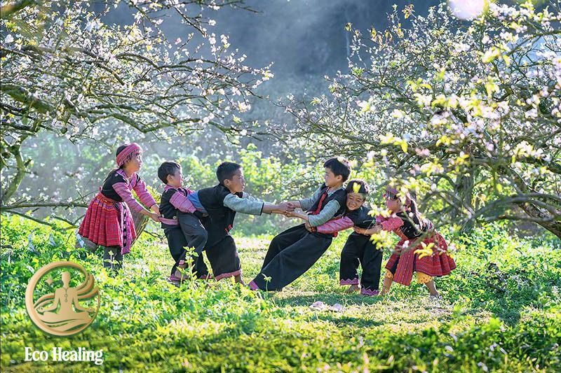 Tour trải nghiệm dành cho doanh nghiệp