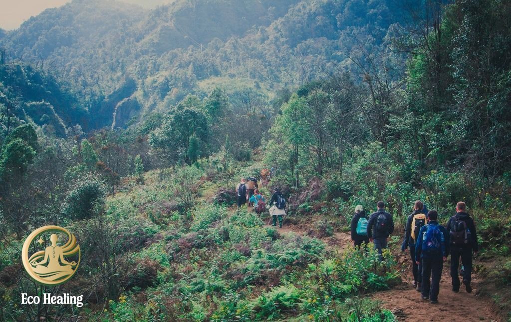 Tour trekking – healing 2N1Đ của Eco Healing