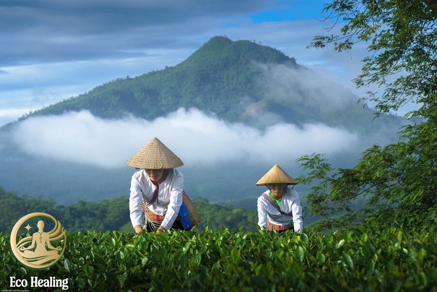 Trekking kết hợp thiền: Xu hướng du lịch mới giúp chữa lành sâu
