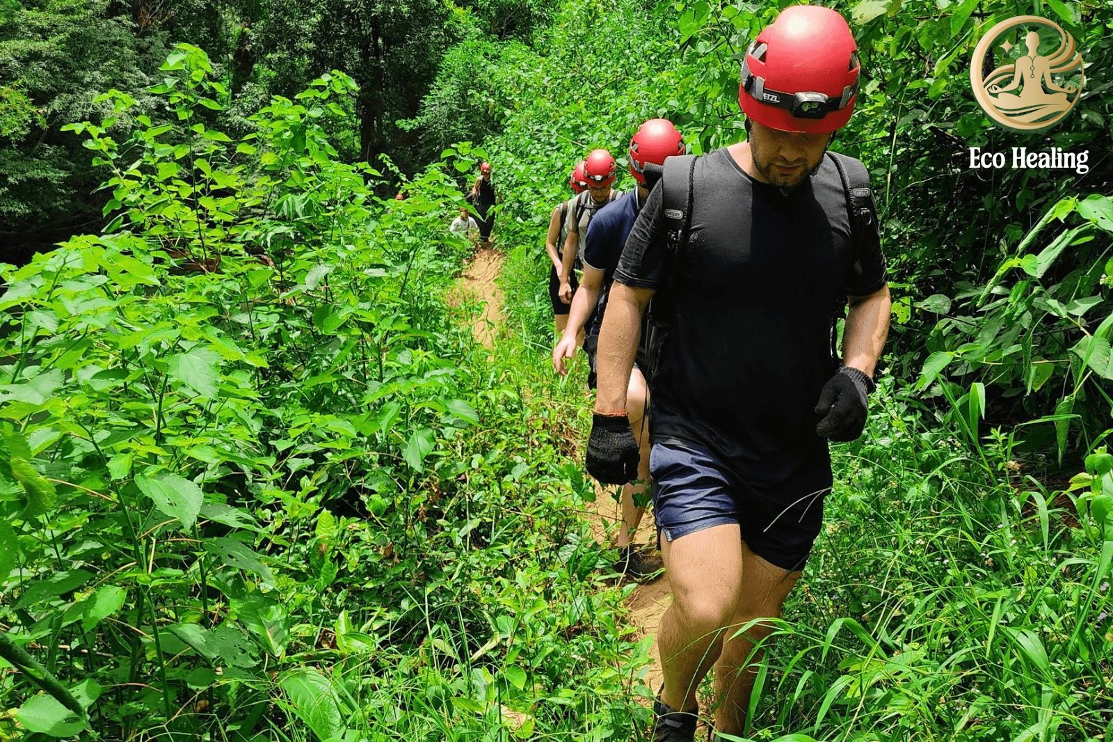Tour đi rừng dành cho người hướng nội