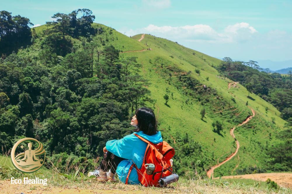 Tour đi rừng dành cho người hướng nội