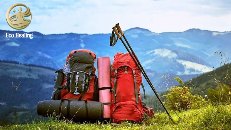 Cẩm nang Trekking cho người mới bắt đầu: Lộ trình từ A-Z an toàn, dễ đi.