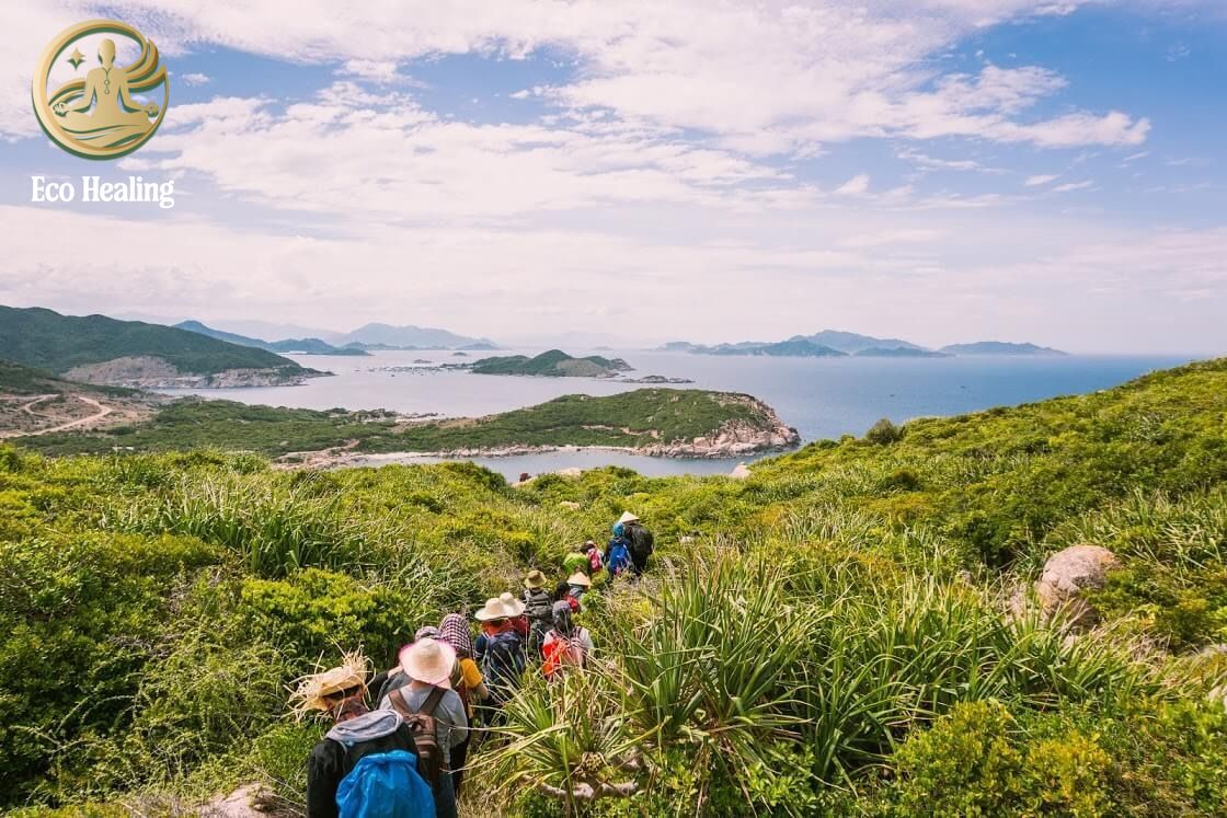 Cẩm nang Trekking cho người mới bắt đầu: Lộ trình từ A-Z an toàn, dễ đi.