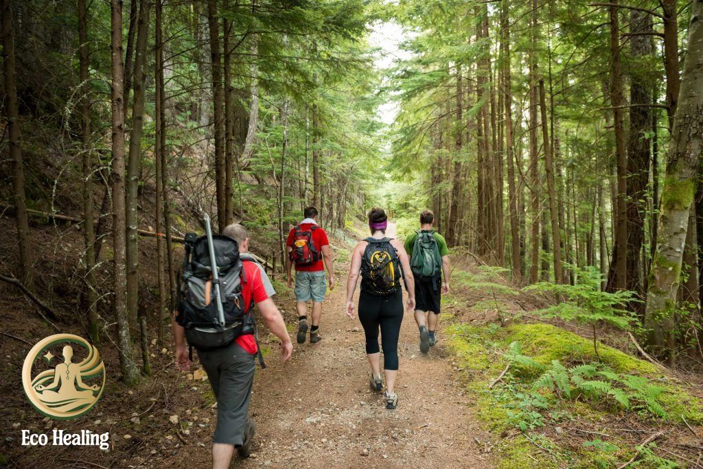 Hiking vs Trekking: Bạn phù hợp với loại hình nào hơn?