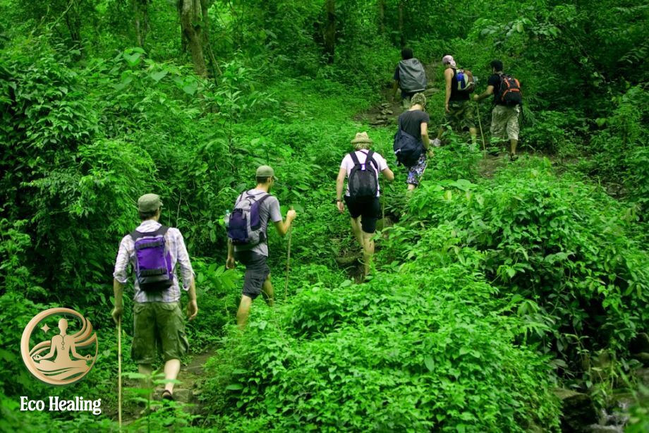 Hiking vs Trekking: Bạn phù hợp với loại hình nào hơn?