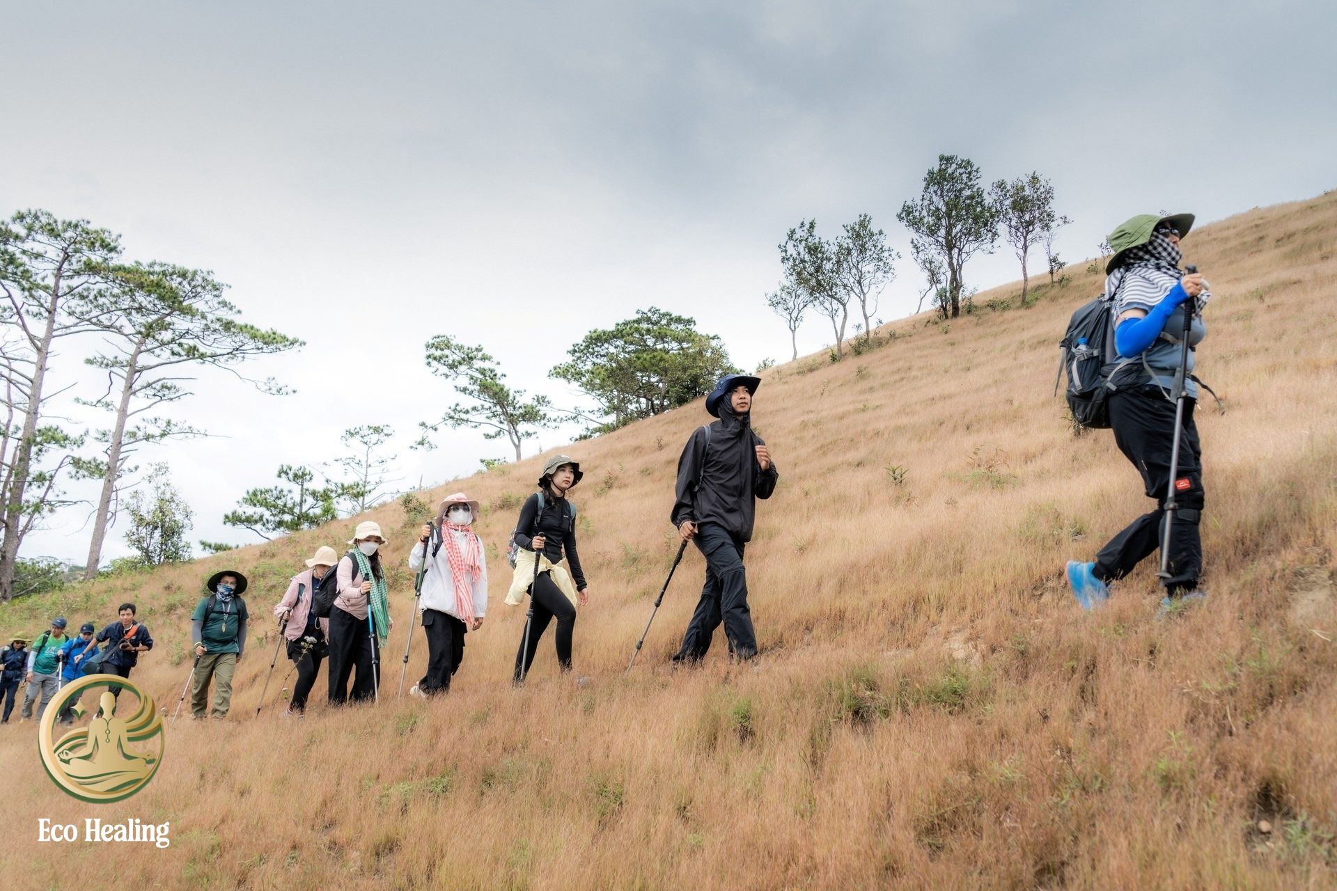 Top 5 cung đường Trekking cho người mới đẹp và dễ chinh phục nhất Việt Nam.