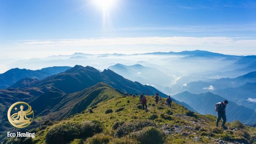 Chi phí Trekking Tà Chì Nhù tự túc vs Tour: Bảng tính chi tiết rẻ nhất.