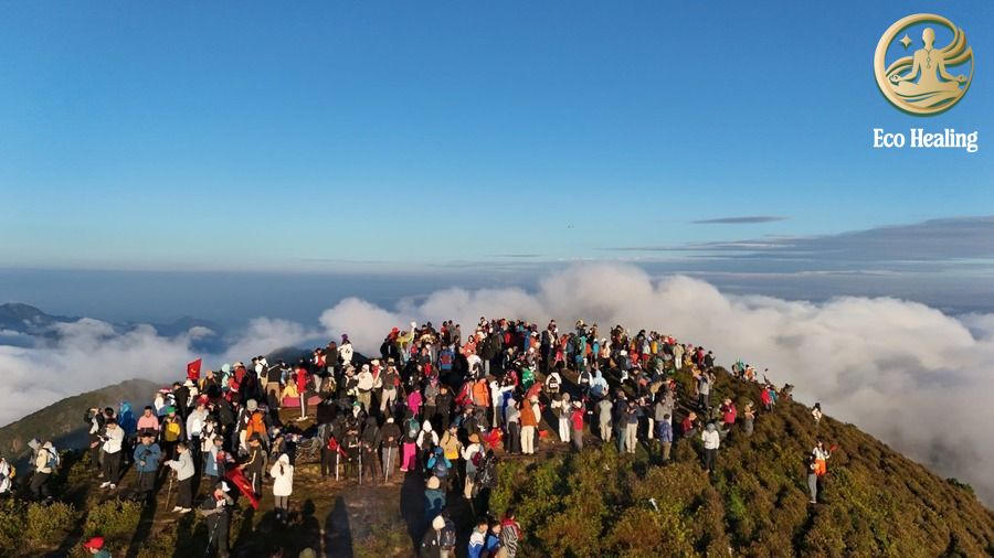 Kinh nghiệm Trekking Tà Chì Nhù mùa hoa tím: Săn mây trên đỉnh đại dương.