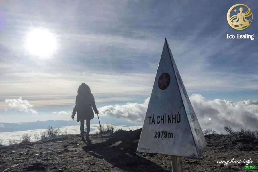 Kinh nghiệm Trekking Tà Chì Nhù mùa hoa tím: Săn mây trên đỉnh đại dương.