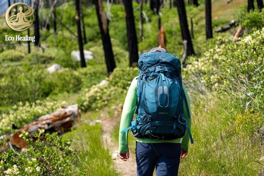 Review các Dụng cụ Trekking sinh tồn thiết yếu: Đèn pin, gậy leo núi, balo.