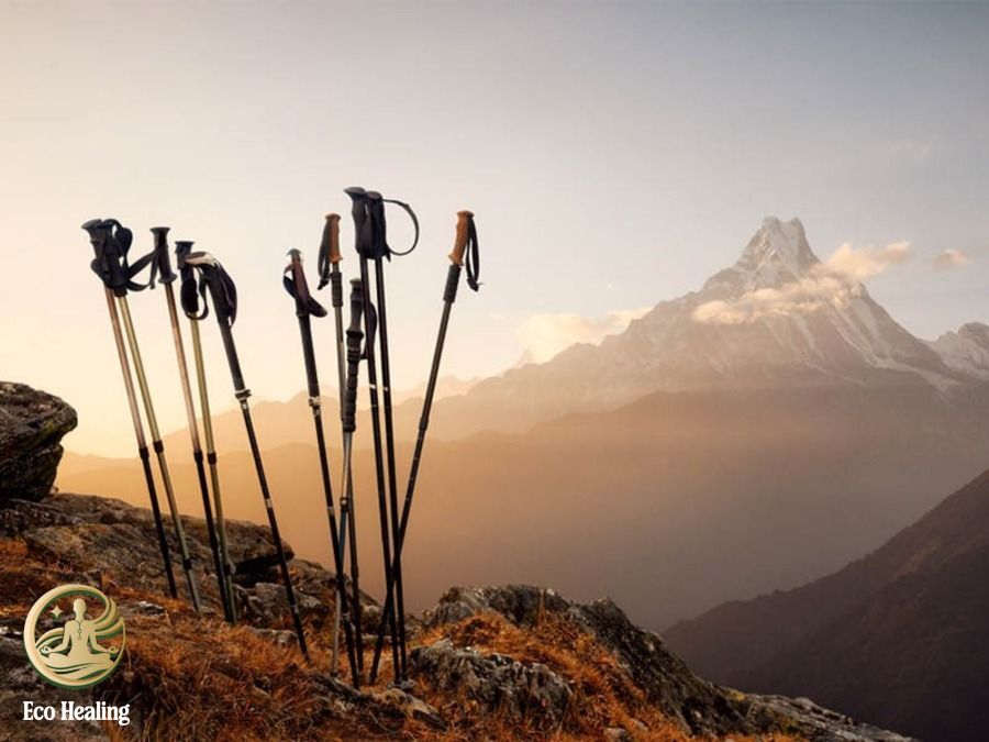 Review các Dụng cụ Trekking sinh tồn thiết yếu: Đèn pin, gậy leo núi, balo.