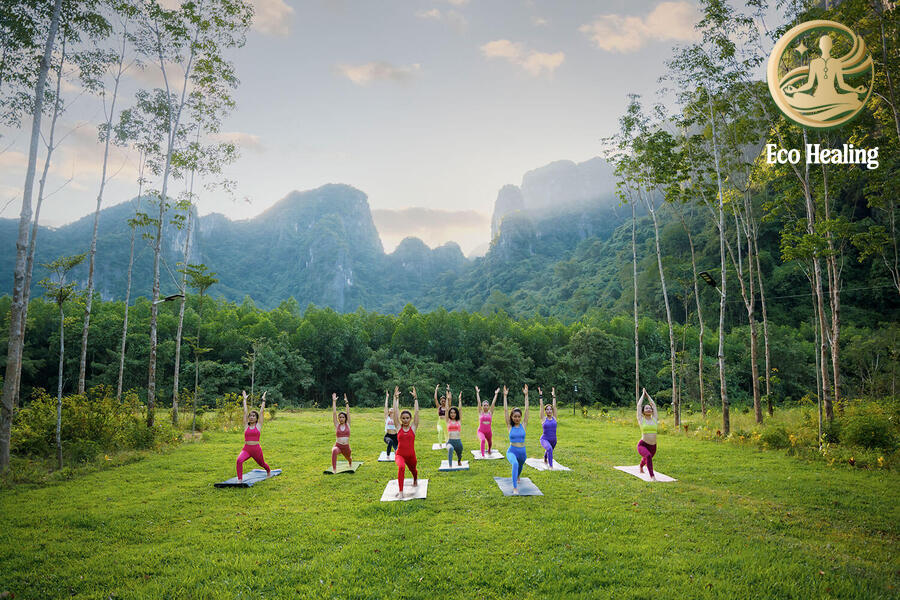 Tour workshop mindfulness giữa thiên nhiên