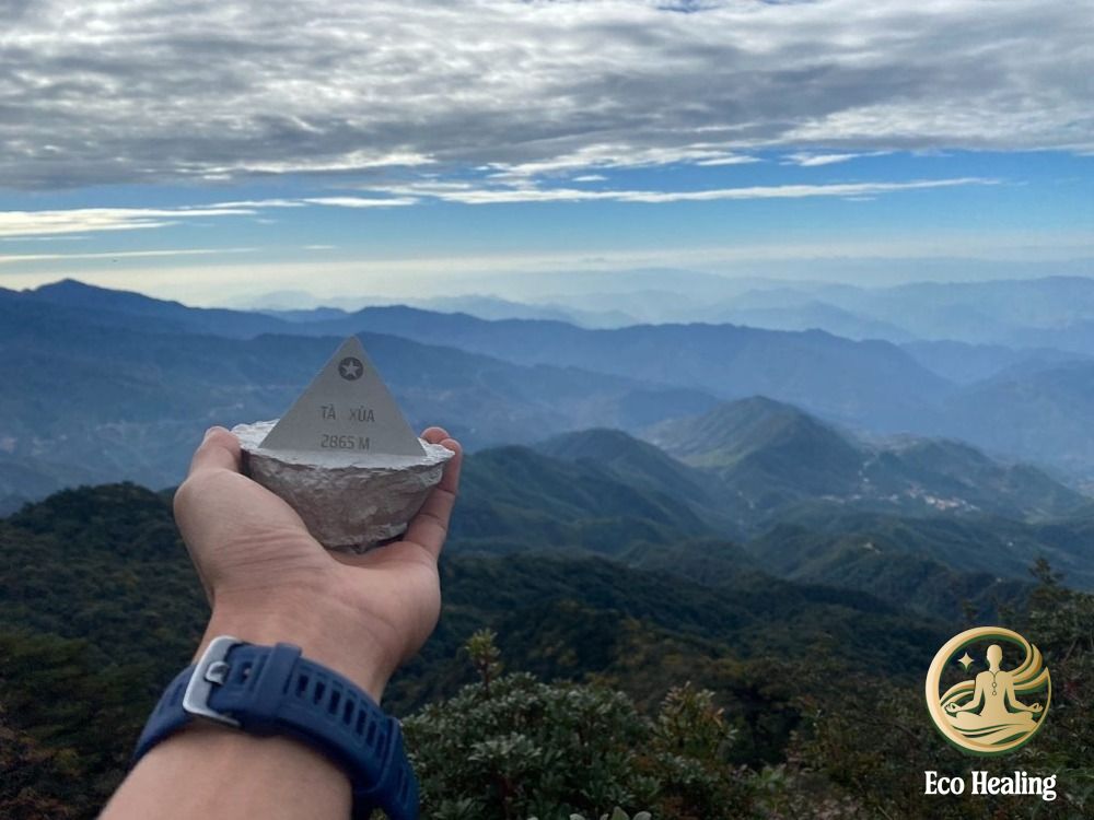 Trekking Tà Xùa: Hướng dẫn săn mây "Sống lưng khủng long" thành công 100%.