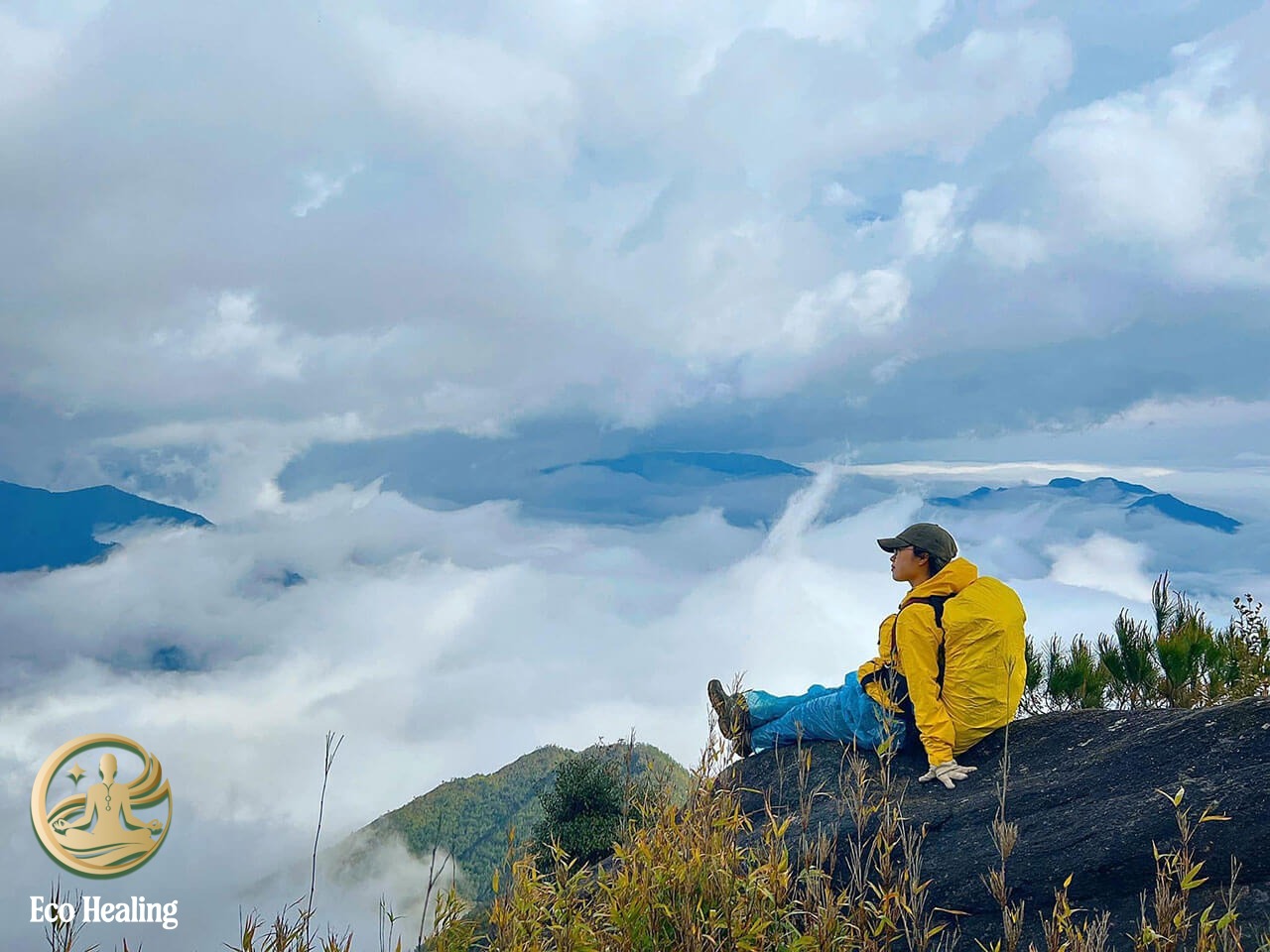 Trekking Tà Xùa: Hướng dẫn săn mây "Sống lưng khủng long" thành công 100%.