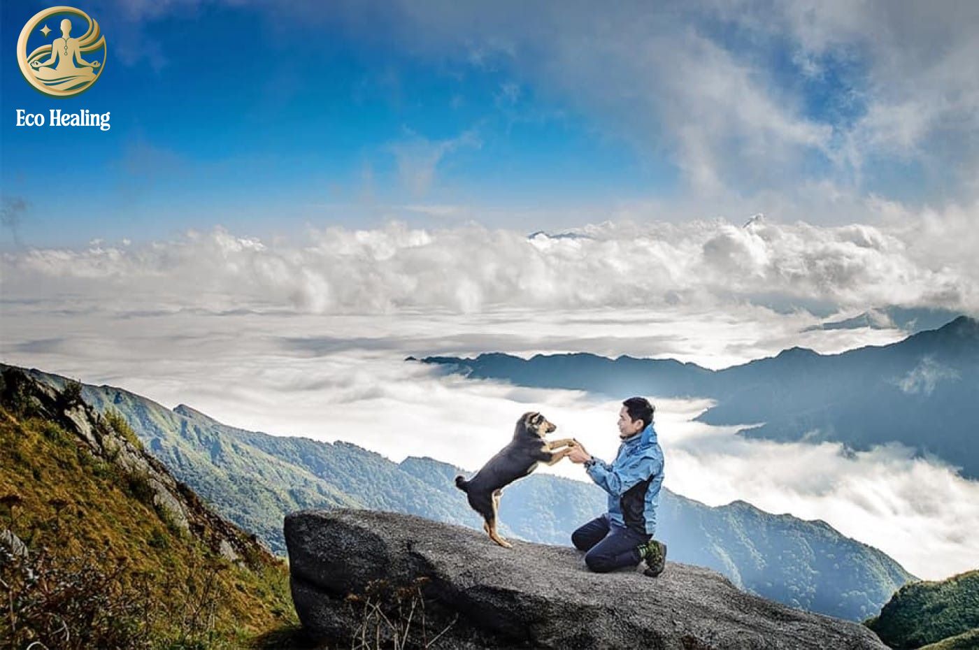 Chinh phục Trekking Lùng Cúng: Lạc vào đồi lau trắng và rừng cổ thụ đẹp mê hồn.