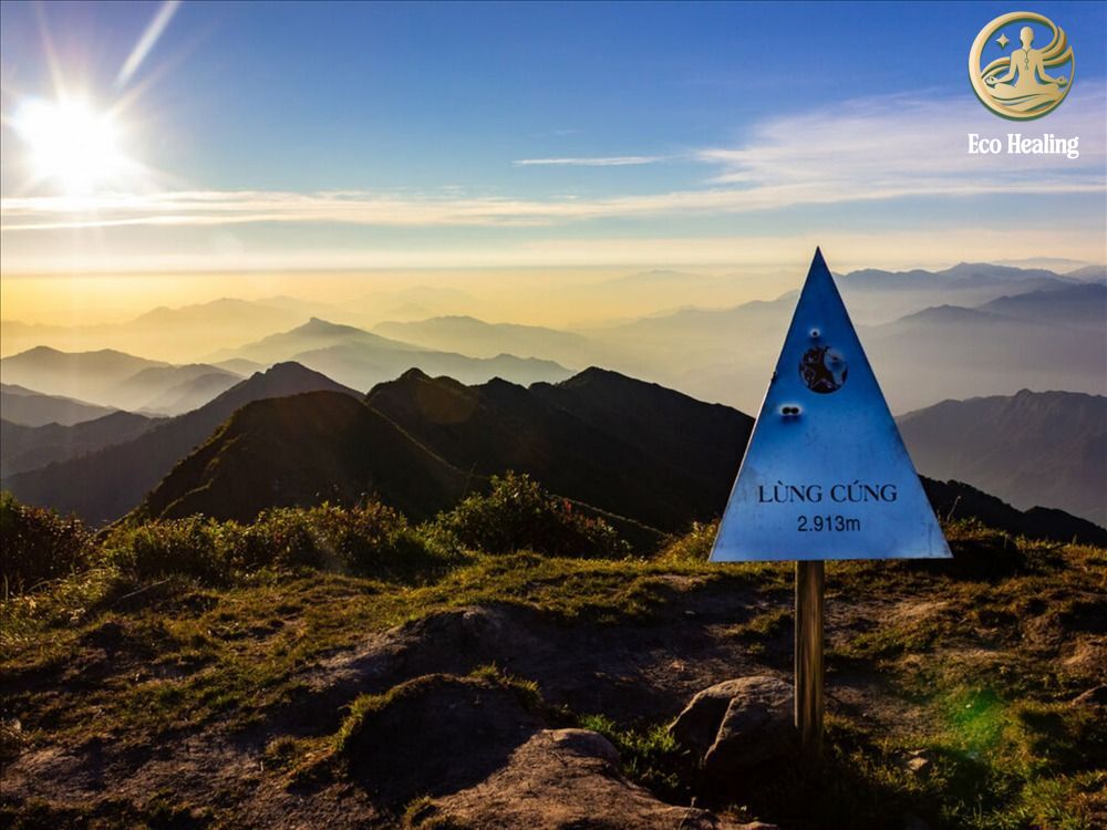 Chinh phục Trekking Lùng Cúng: Lạc vào đồi lau trắng và rừng cổ thụ đẹp mê hồn.