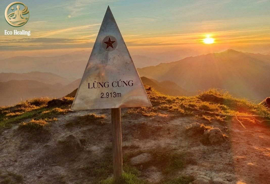Chinh phục Trekking Lùng Cúng: Lạc vào đồi lau trắng và rừng cổ thụ đẹp mê hồn.