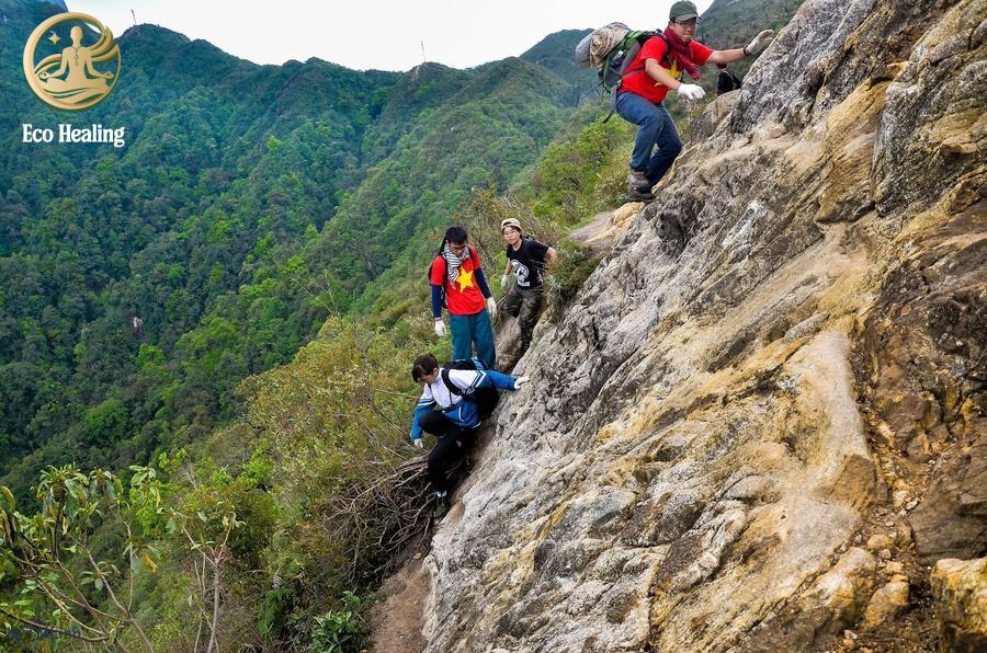 Fansipan Trekking: Hướng dẫn leo bộ chạm tay "Nóc nhà Đông Dương" không cần cáp treo.