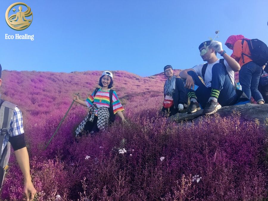 Chi phí trekking Tà Chì Nhù: Cập nhật giá tour + mẹo tiết kiệm 2025