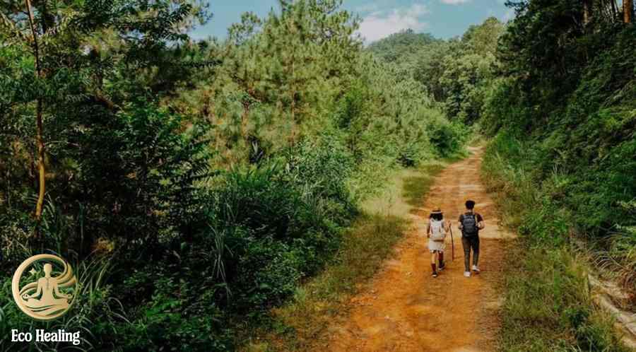Đi trekking Hàm Lợn tự túc: Lộ trình, chi phí và lưu ý an toàn