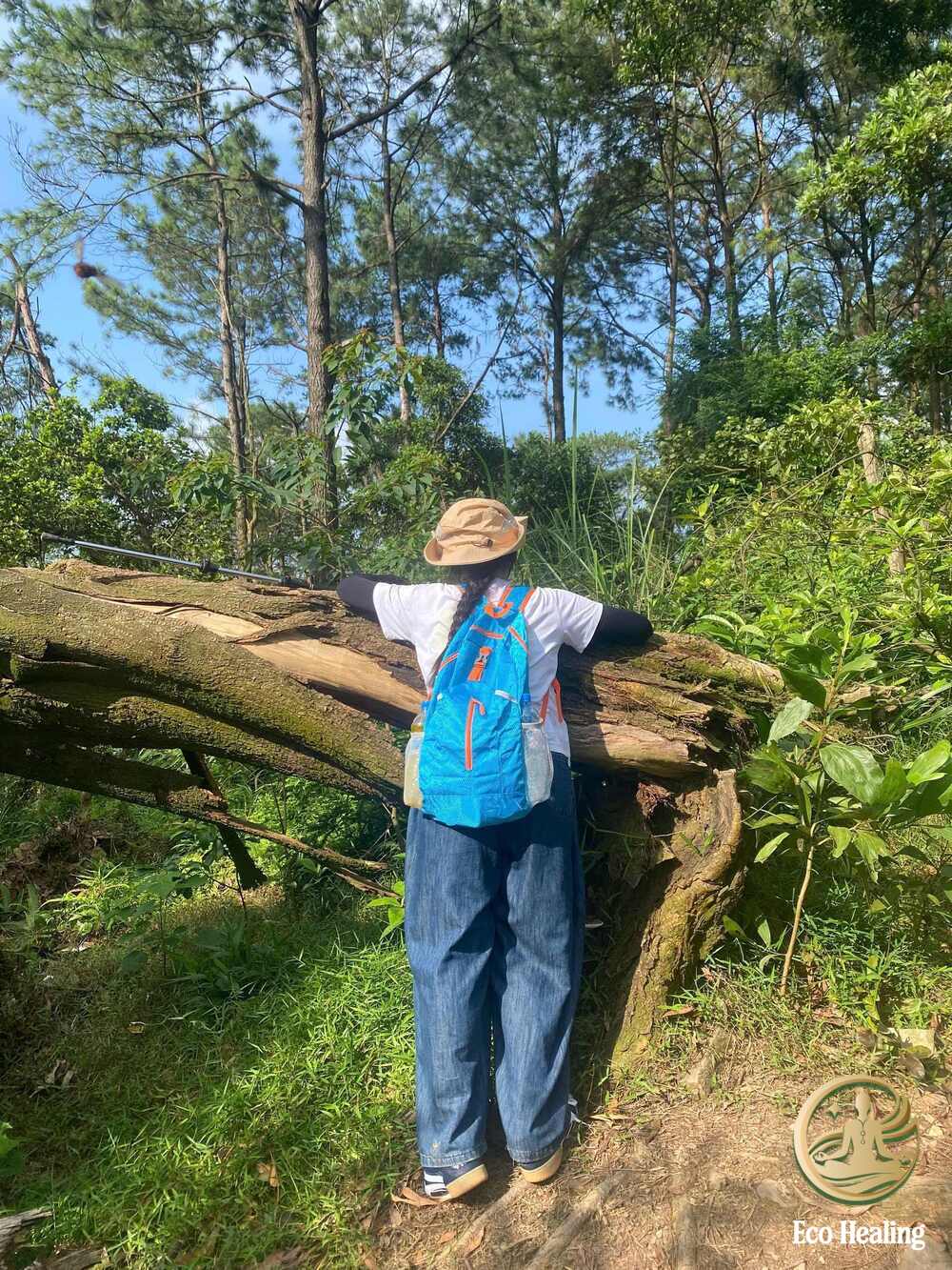 Đi trekking Hàm Lợn tự túc Lộ trình, chi phí và lưu ý an toàn (6)