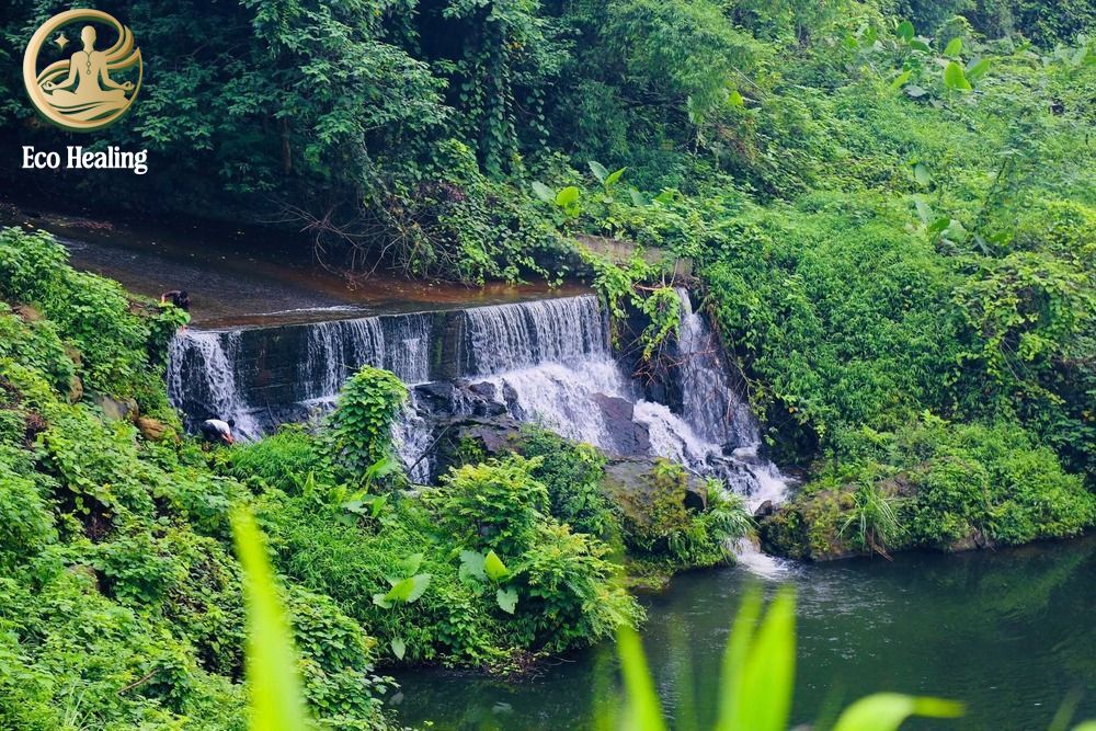 Trekking Ba Vì trong ngày: "Đi trốn" khói bụi Hà Nội cuối tuần cực Chill.
