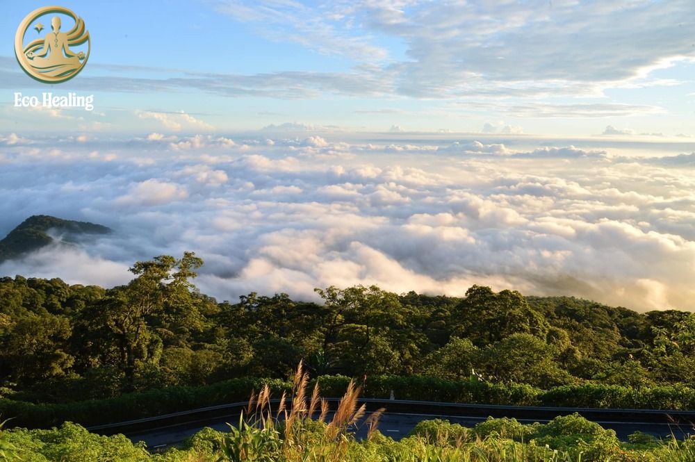 Trekking Ba Vì trong ngày: "Đi trốn" khói bụi Hà Nội cuối tuần cực Chill.