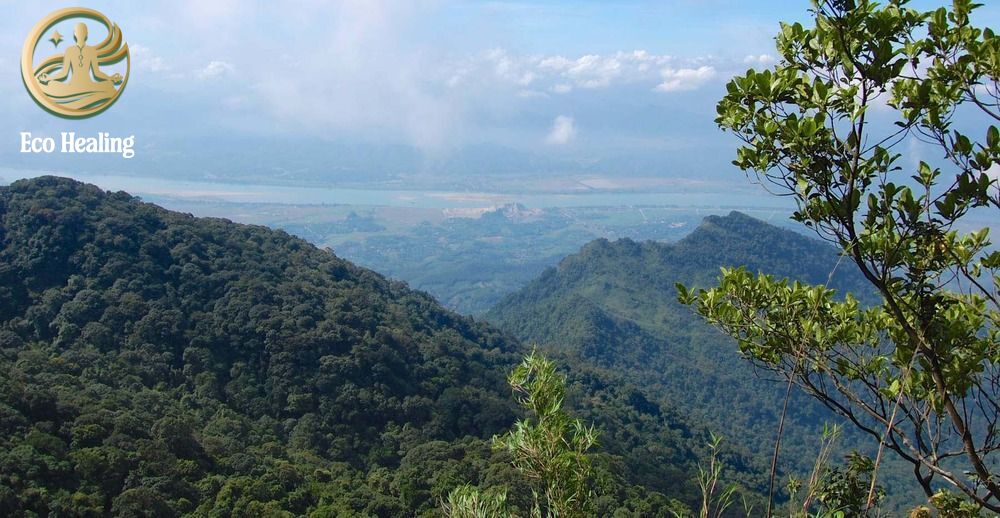 Trekking Ba Vì trong ngày: "Đi trốn" khói bụi Hà Nội cuối tuần cực Chill.