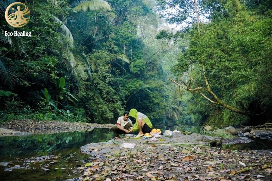Trekking Bù Gia Mập: Hướng dẫn cắm trại, sinh tồn giữa rừng xanh Bình Phước.