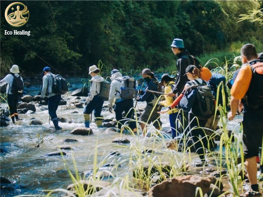 Trekking Bù Gia Mập: Hướng dẫn cắm trại, sinh tồn giữa rừng xanh Bình Phước.
