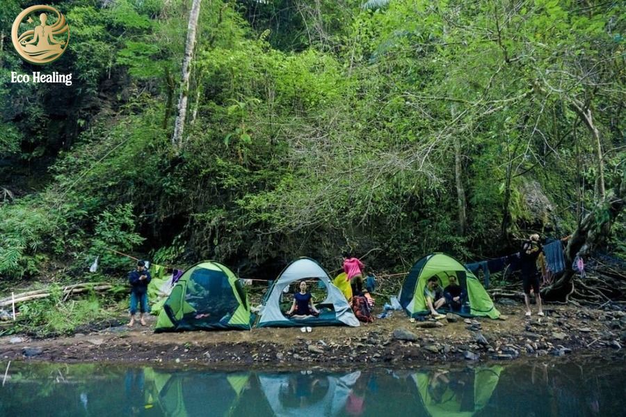 Trekking Bù Gia Mập: Hướng dẫn cắm trại, sinh tồn giữa rừng xanh Bình Phước.
