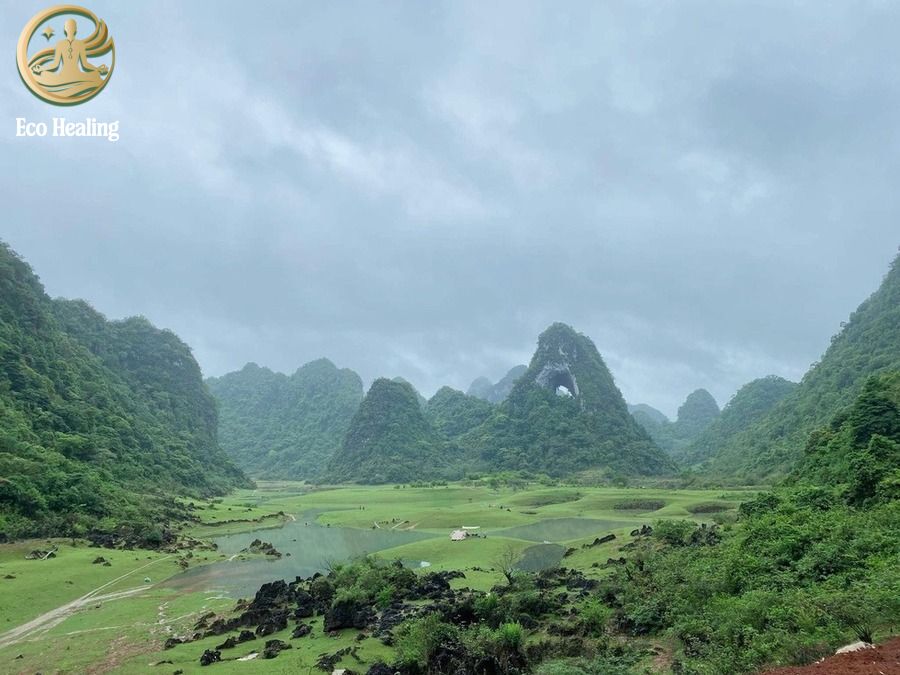 Trekking Cao Bằng: Khám phá Mắt Thần Núi và những cung đường biên giới bí ẩn.