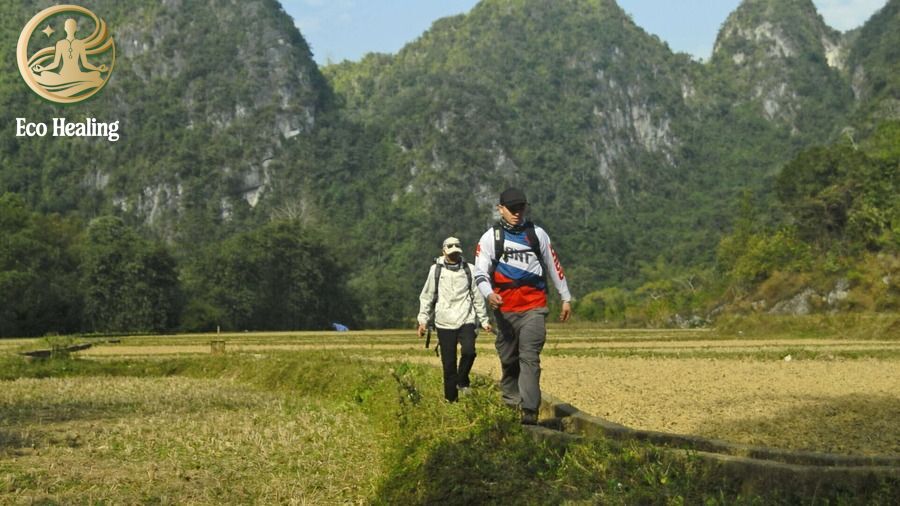 Trekking Cao Bằng: Khám phá Mắt Thần Núi và những cung đường biên giới bí ẩn.