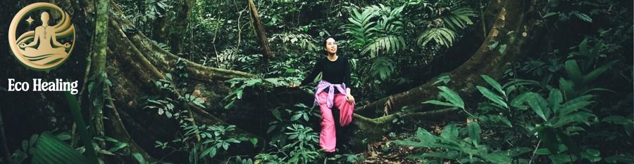 Trekking Cúc Phương mùa bướm bay: Trải nghiệm băng rừng già nguyên sinh.