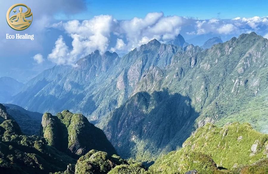 Trekking Fansipan – Cách chuẩn bị & kinh nghiệm chinh phục “Nóc nhà Đông Dương”