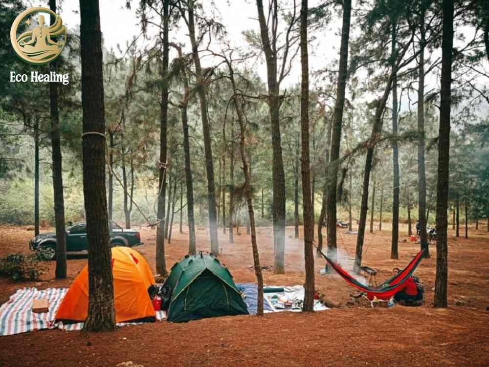 Trekking Hàm Lợn có gì? Review cung đường, cảnh đẹp và độ khó thực tế