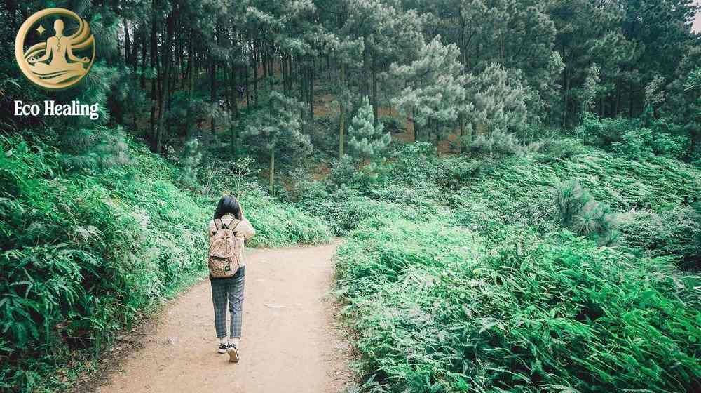 Trekking Hàm Lợn có gì? Review cung đường, cảnh đẹp và độ khó thực tế