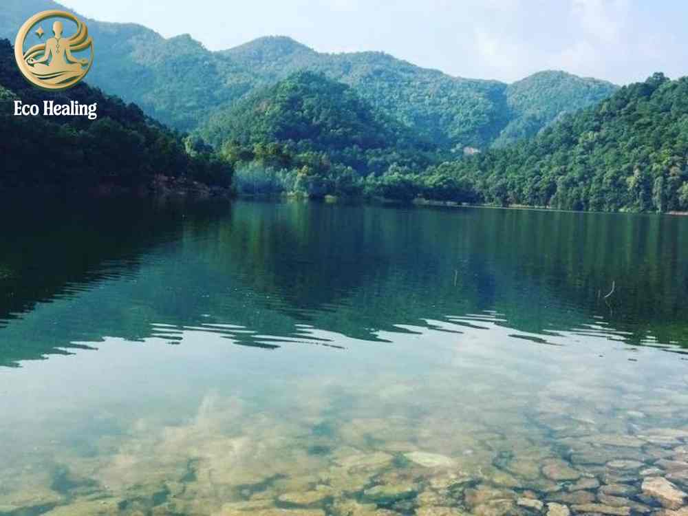 Trekking Hàm Lợn có gì? Review cung đường, cảnh đẹp và độ khó thực tế