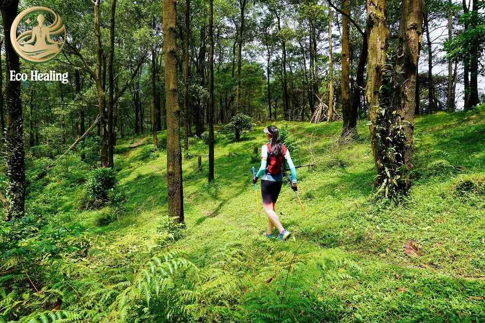 Trekking Hàm Lợn có gì? Review cung đường, cảnh đẹp và độ khó thực tế